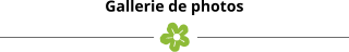 Gallerie de photos
